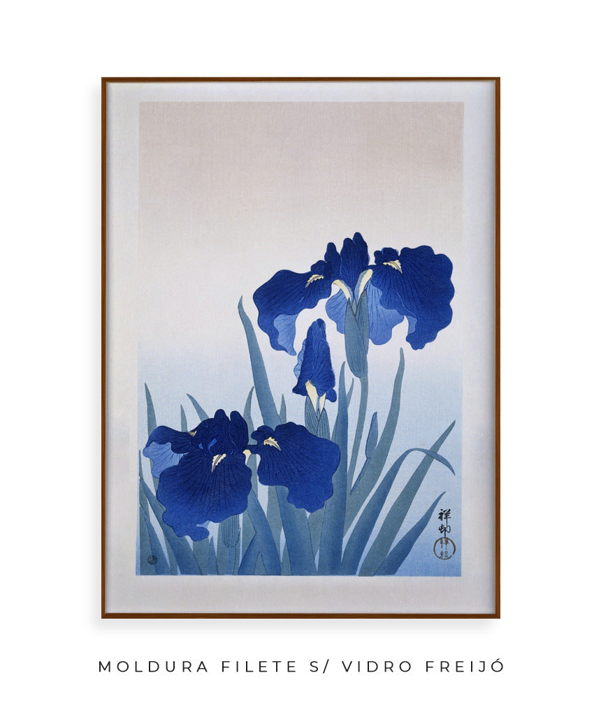 Flores de Íris por Ohara Koson