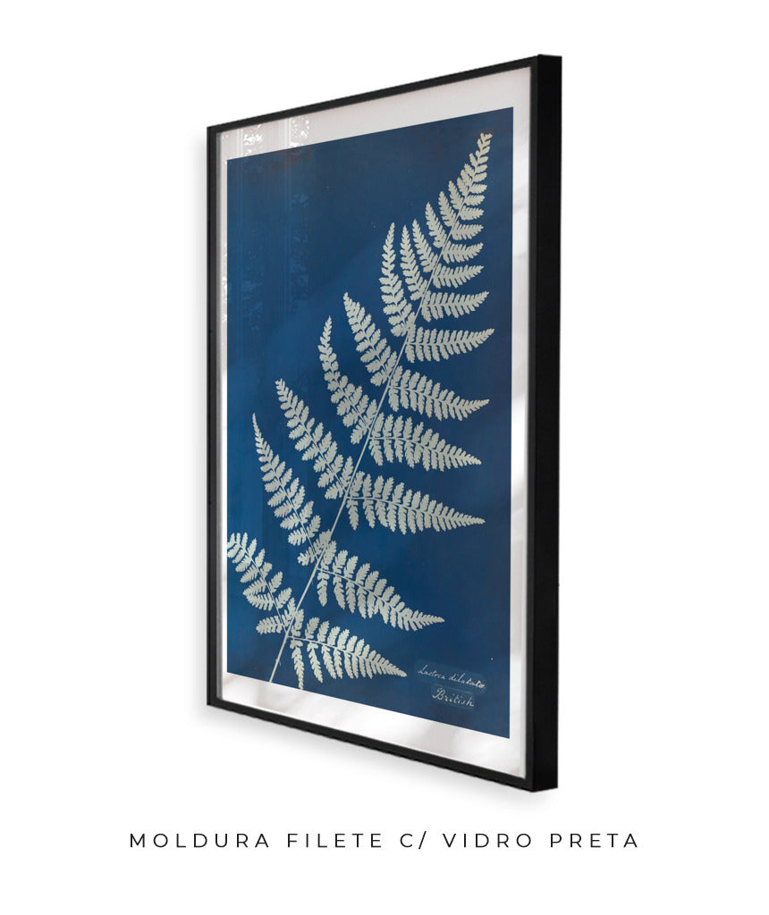 Anna Atkins IV