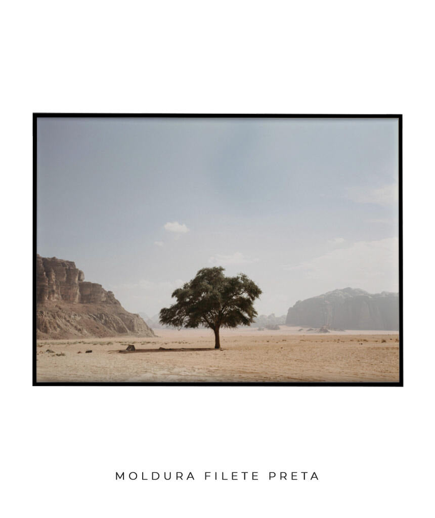 Vida solitária