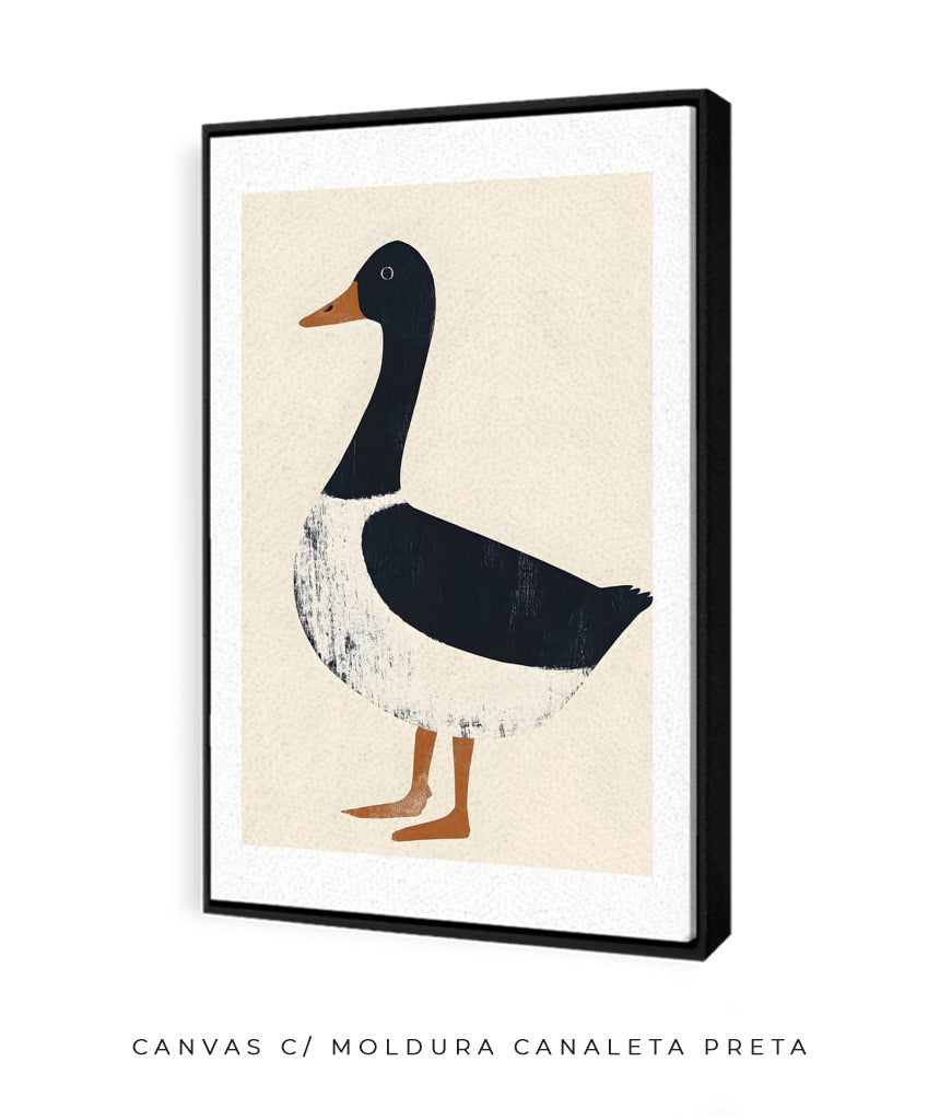 Pato