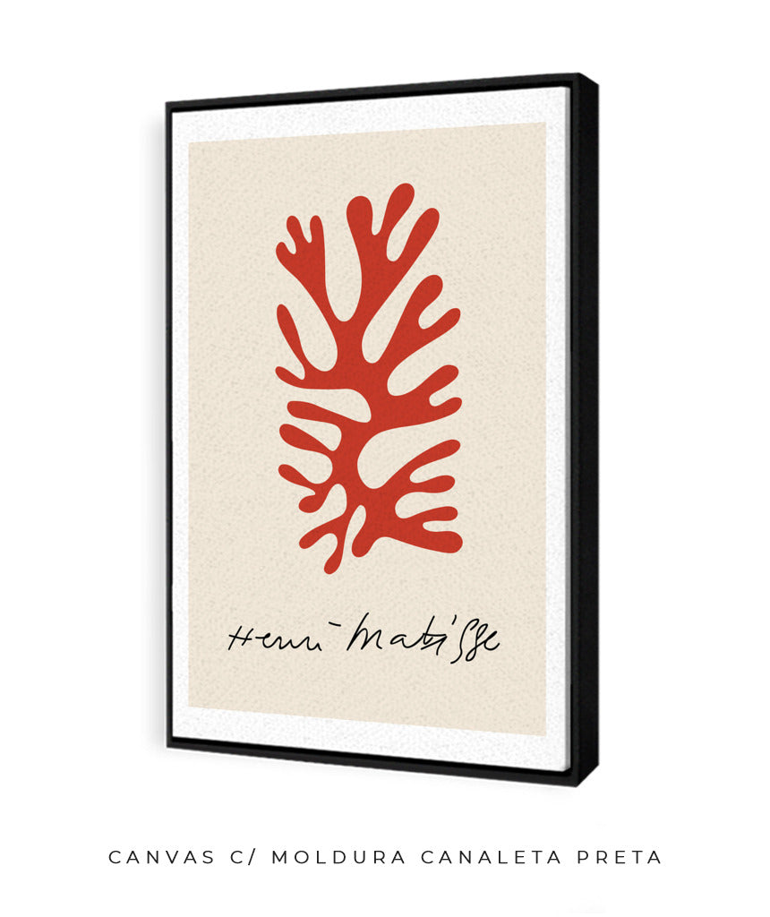 Matisse VIII