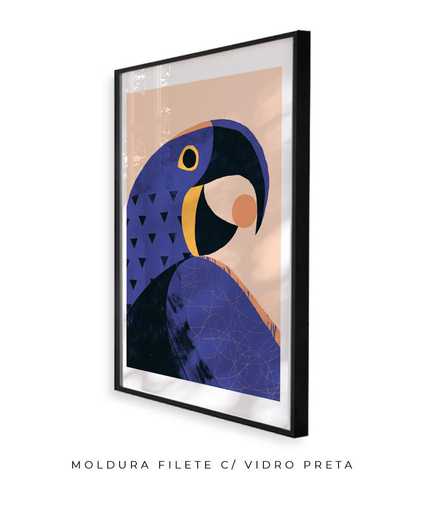 Arara Azul