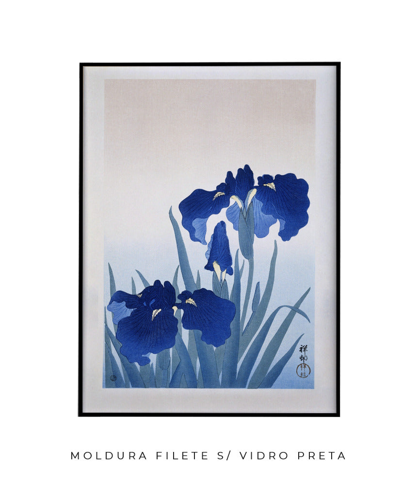 Flores de Íris por Ohara Koson
