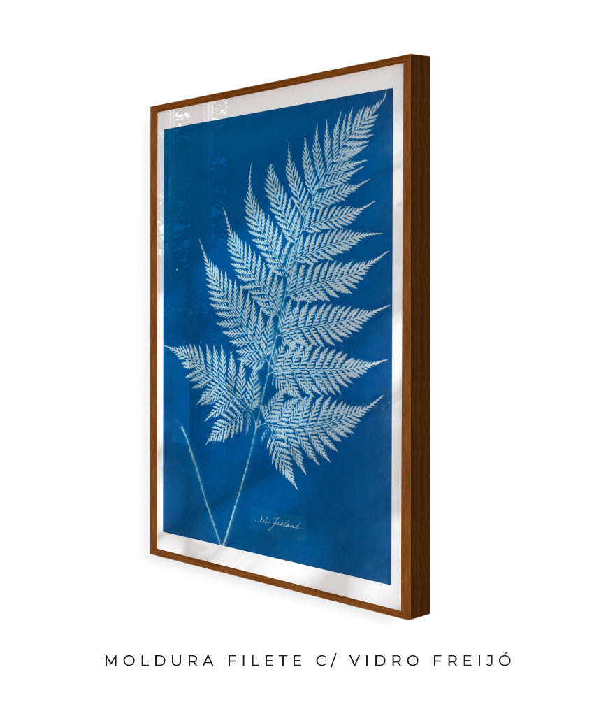 Anna Atkins II