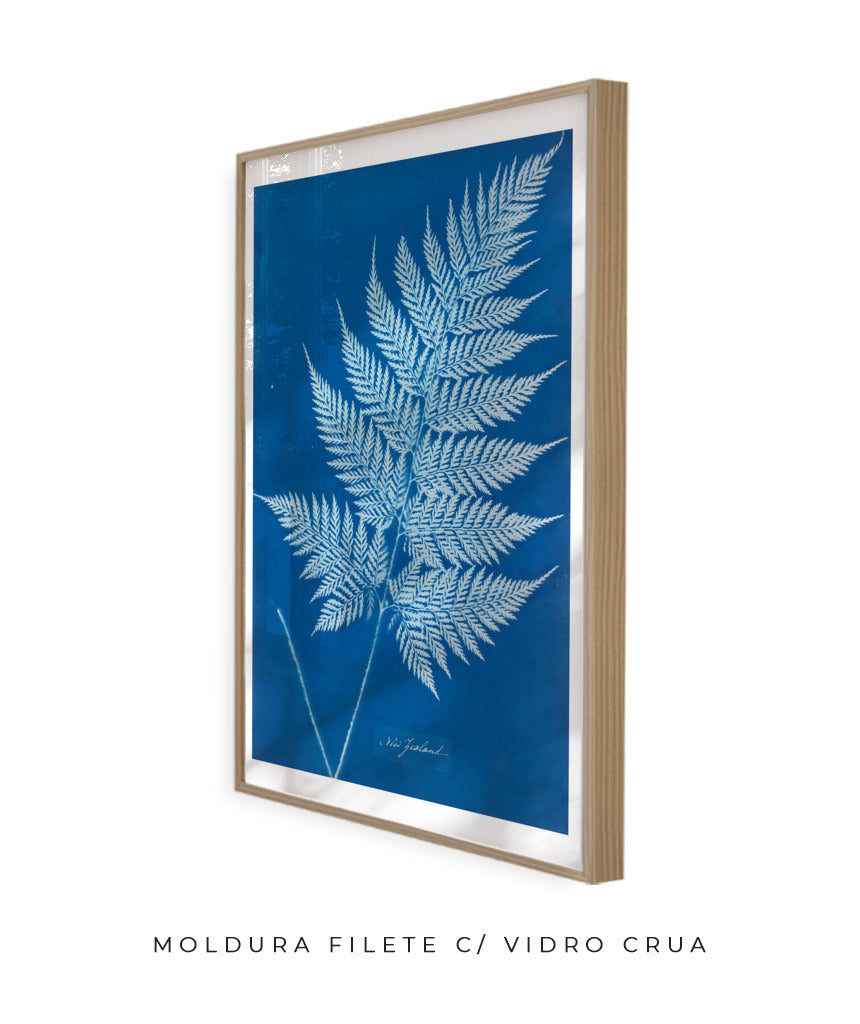 Anna Atkins II