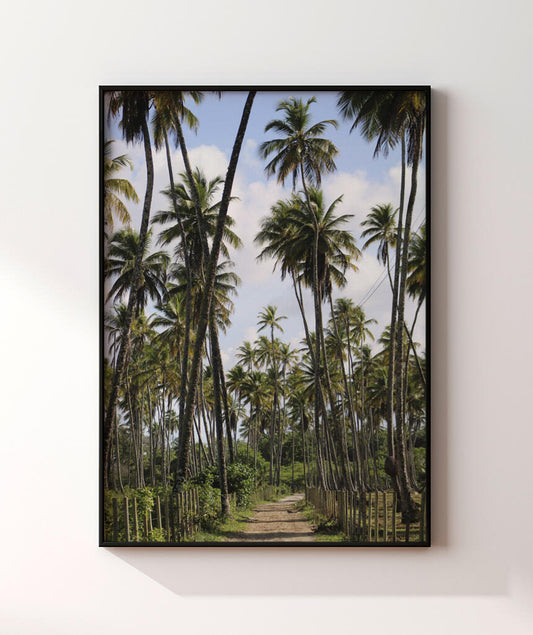 Tropicais por Vitoria Brecci