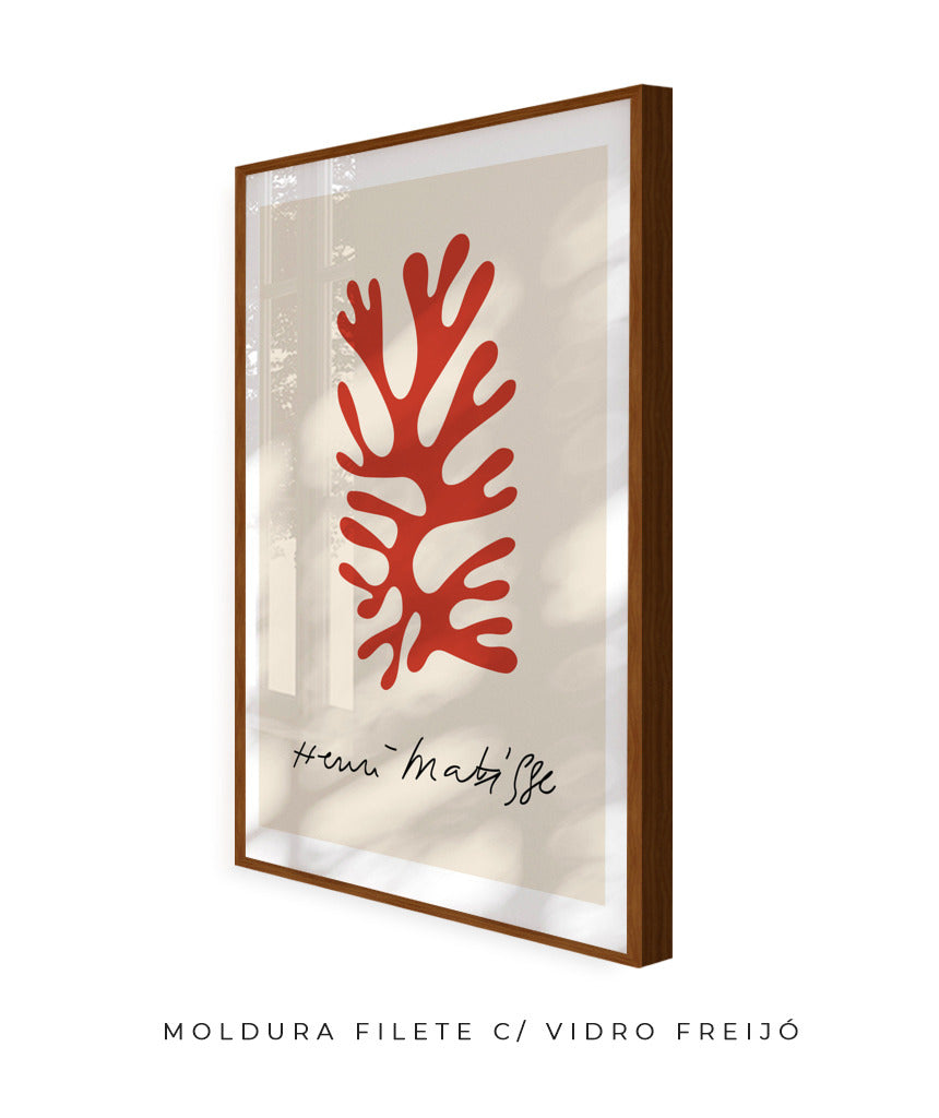 Matisse VIII