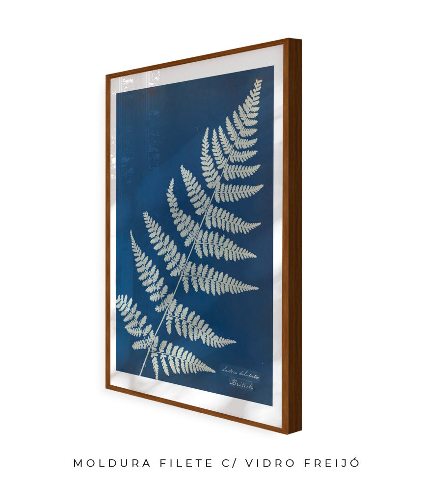 Anna Atkins IV