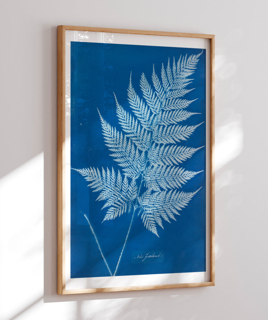 Anna Atkins II
