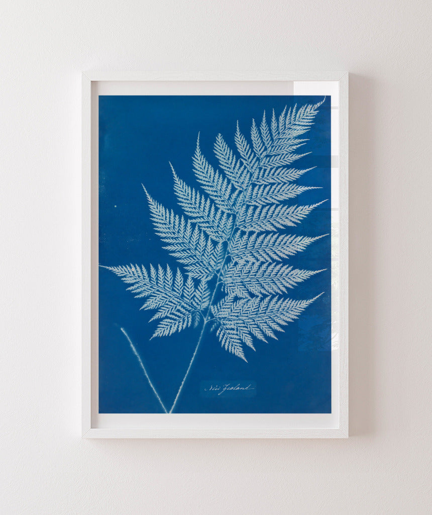 Anna Atkins II