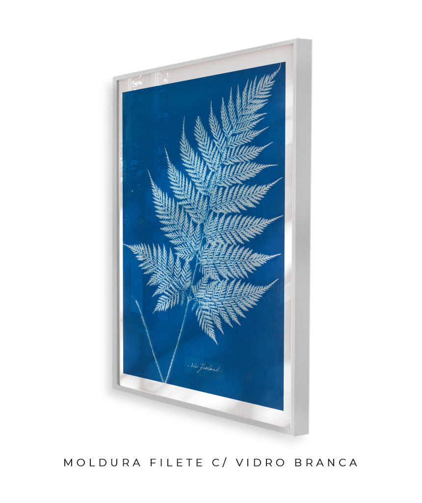 Anna Atkins II