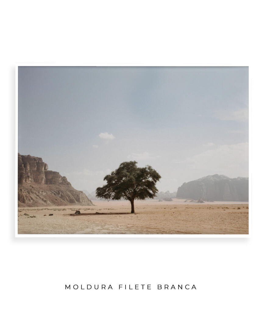 Vida solitária