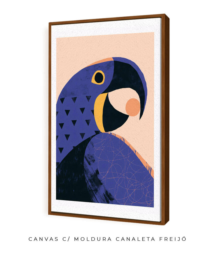 Arara Azul