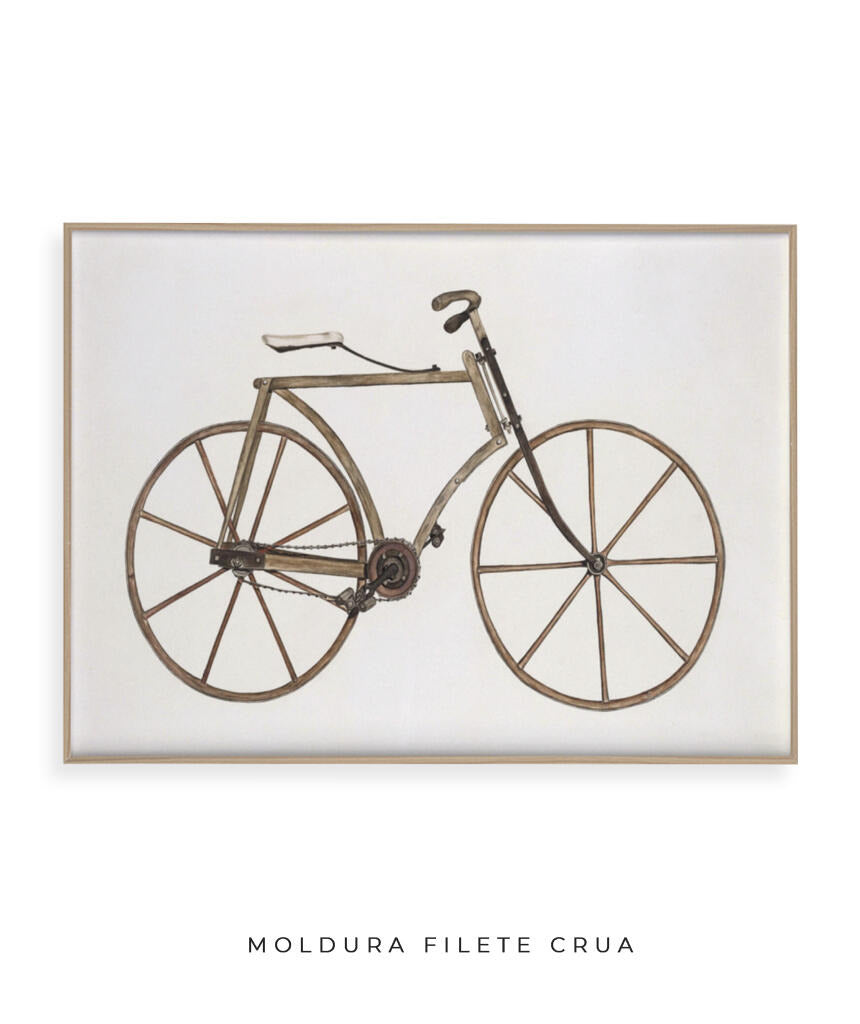 Bicicleta Retrô