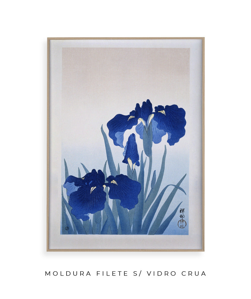 Flores de Íris por Ohara Koson