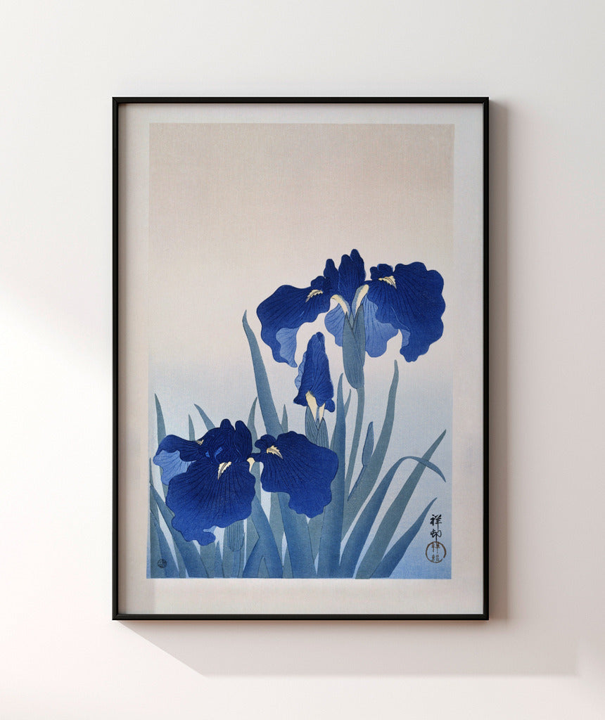 Flores de Íris por Ohara Koson
