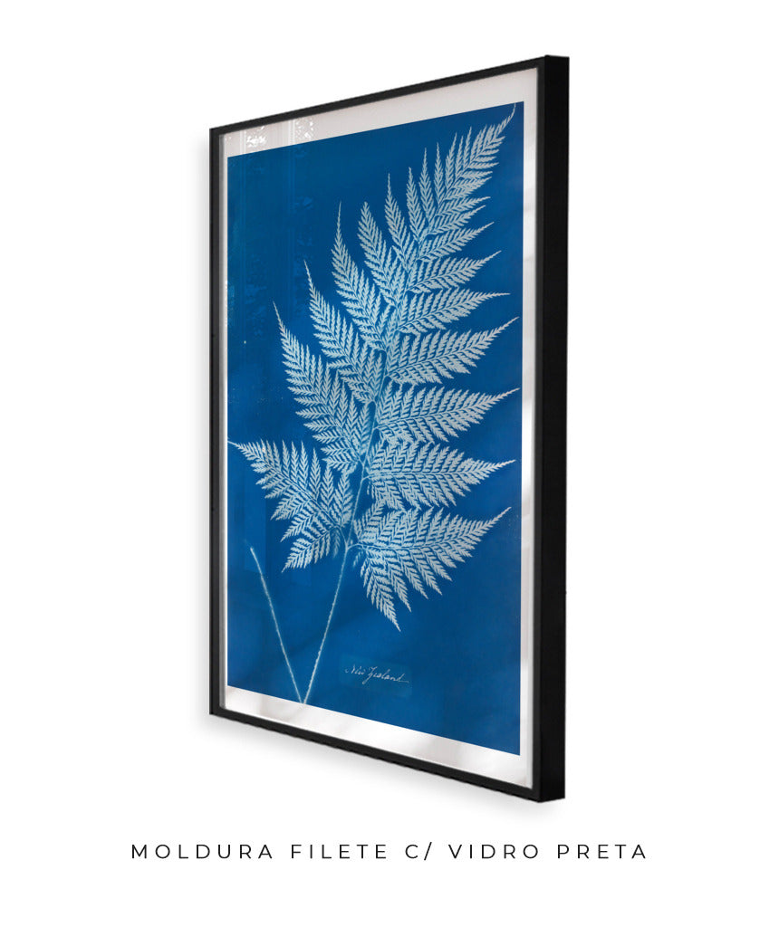 Anna Atkins II