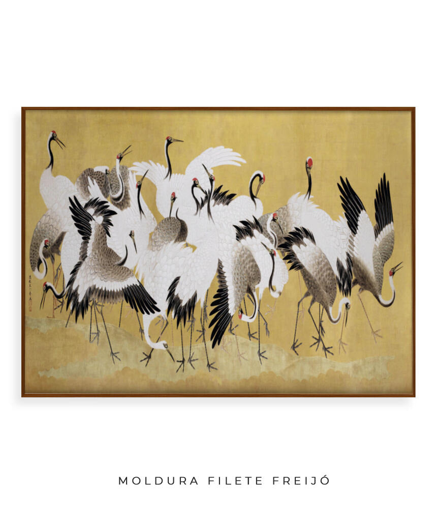 Garças Japonesas