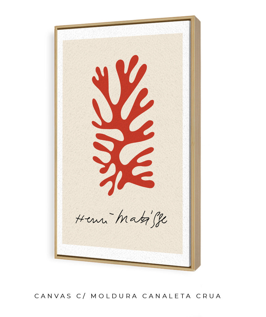 Matisse VIII