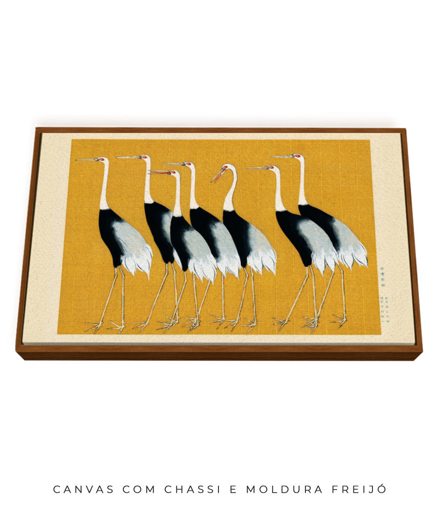 Aves II