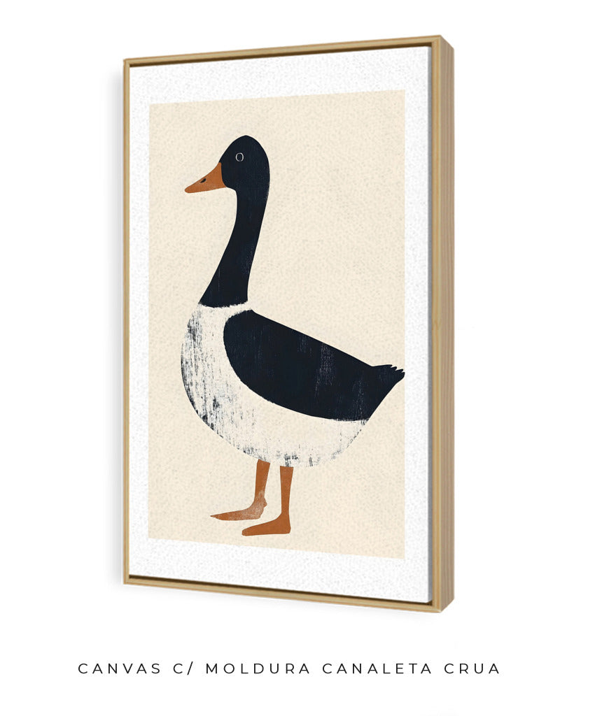 Pato