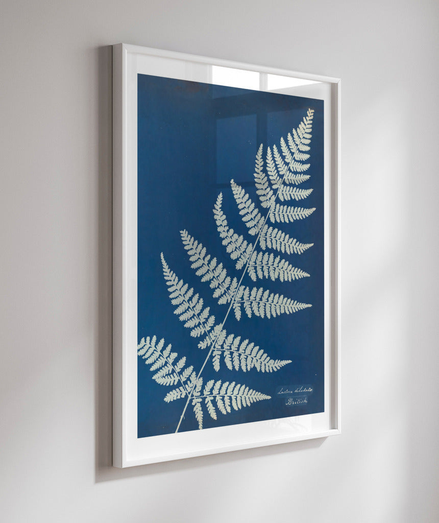 Anna Atkins IV