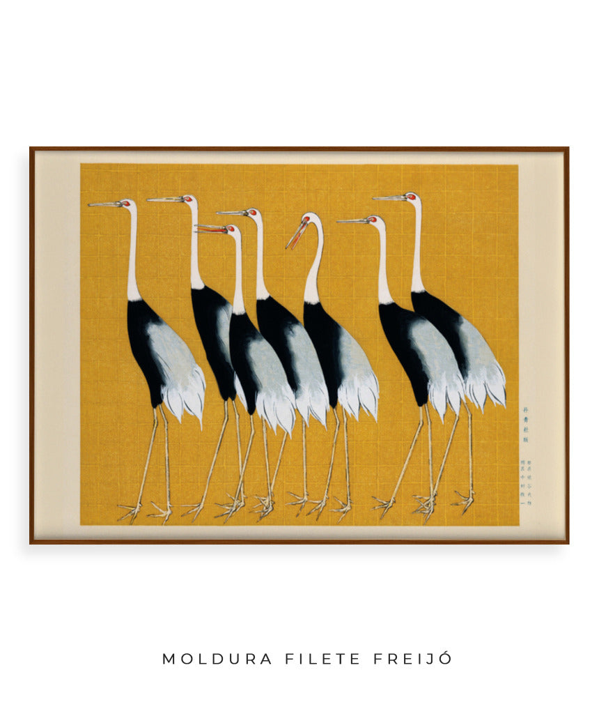 Aves II