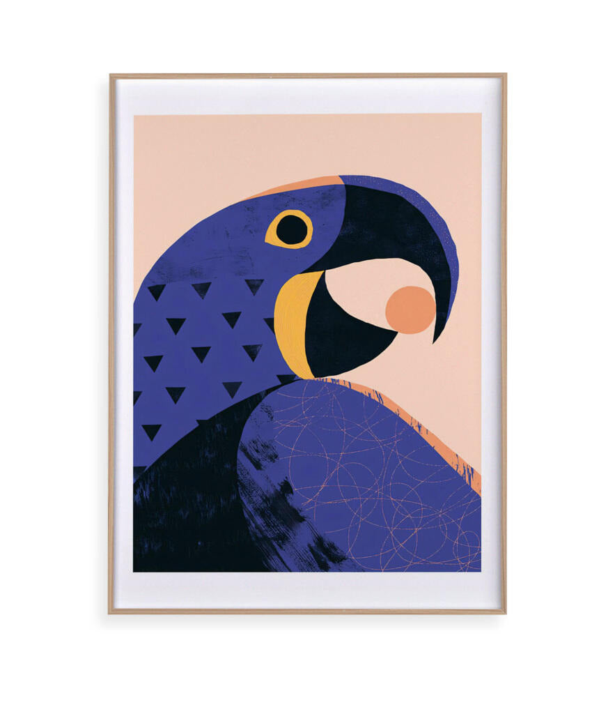 Arara Azul