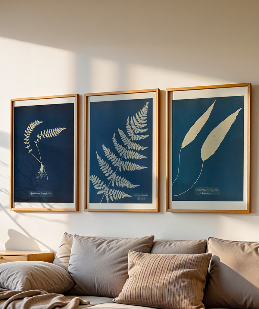 Composição Anna Atkins