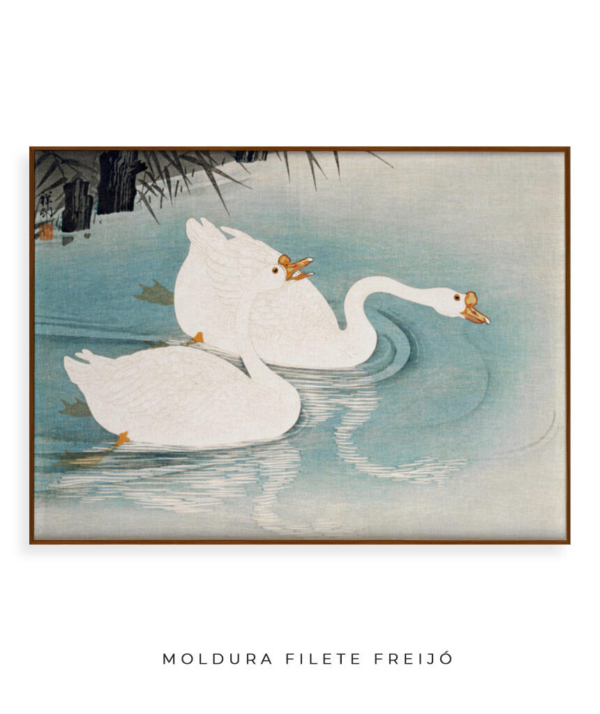 Os Cisnes