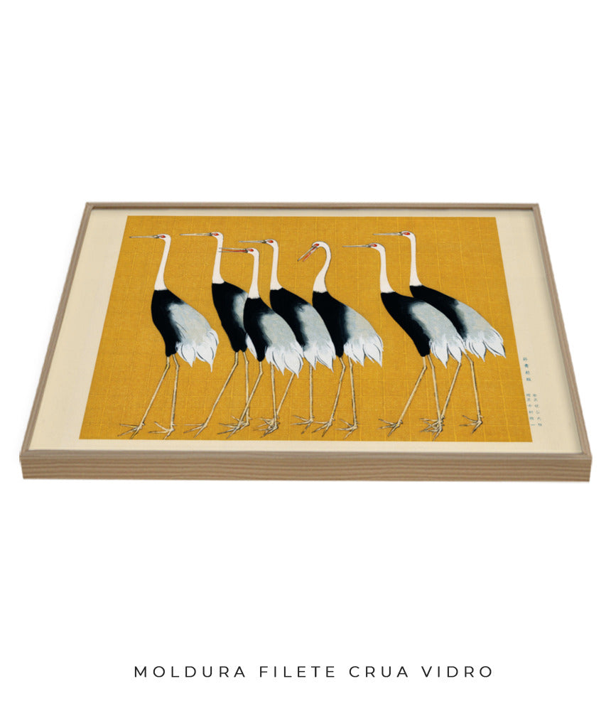 Aves II