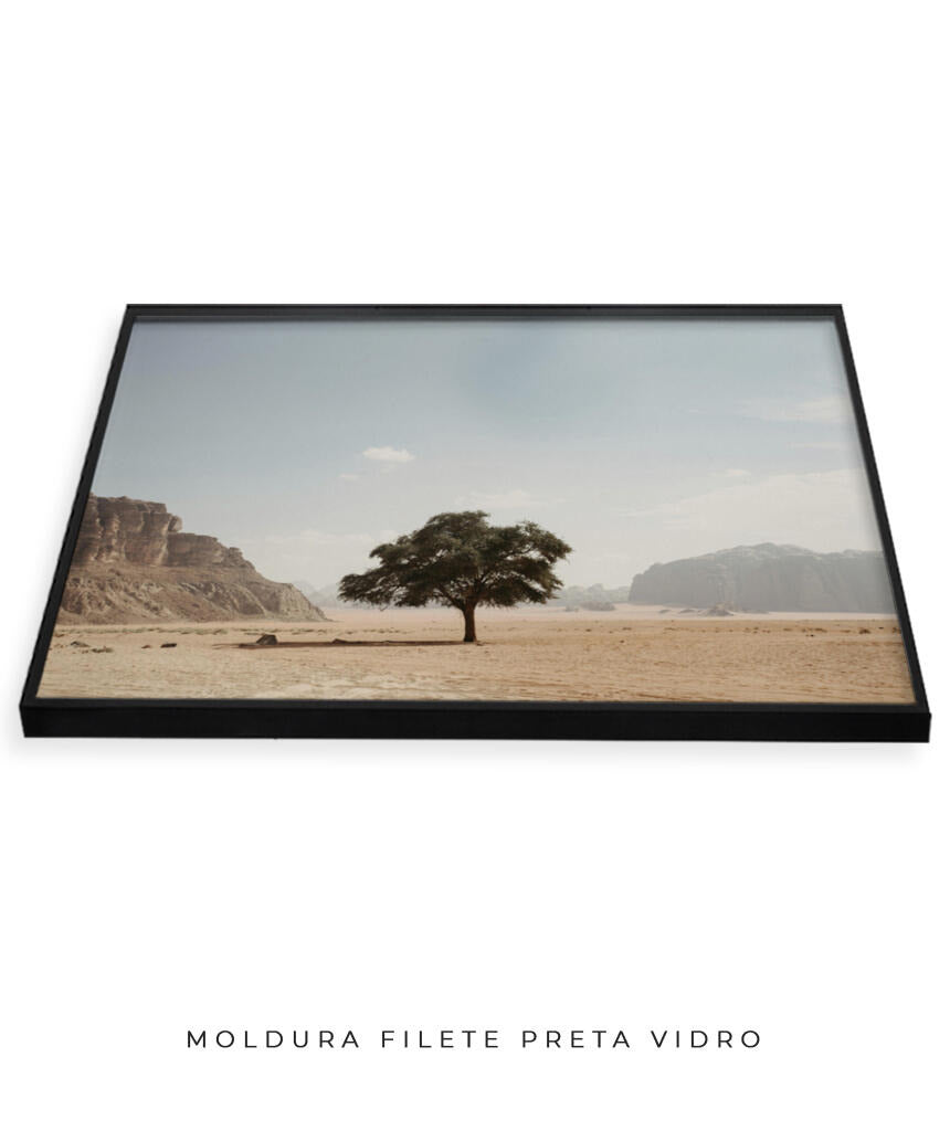 Vida solitária