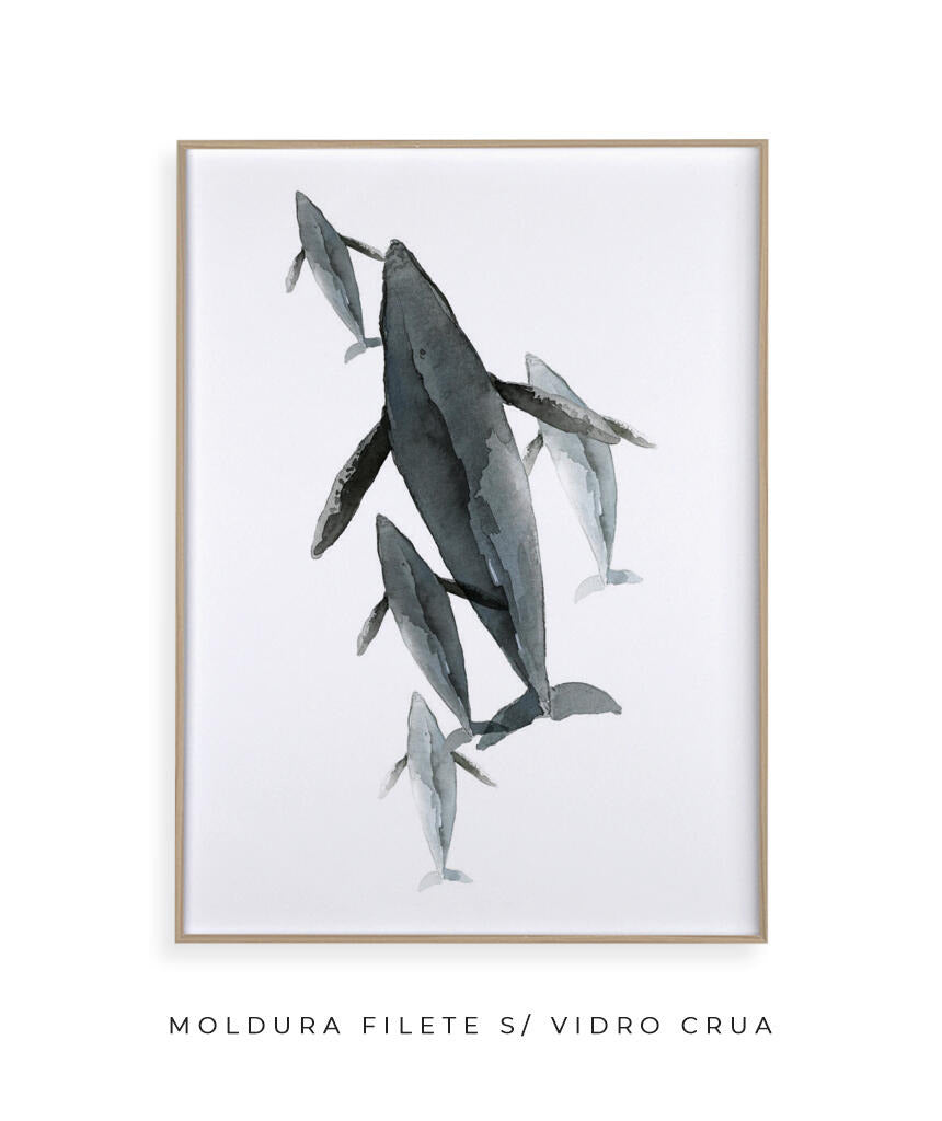Baleias II