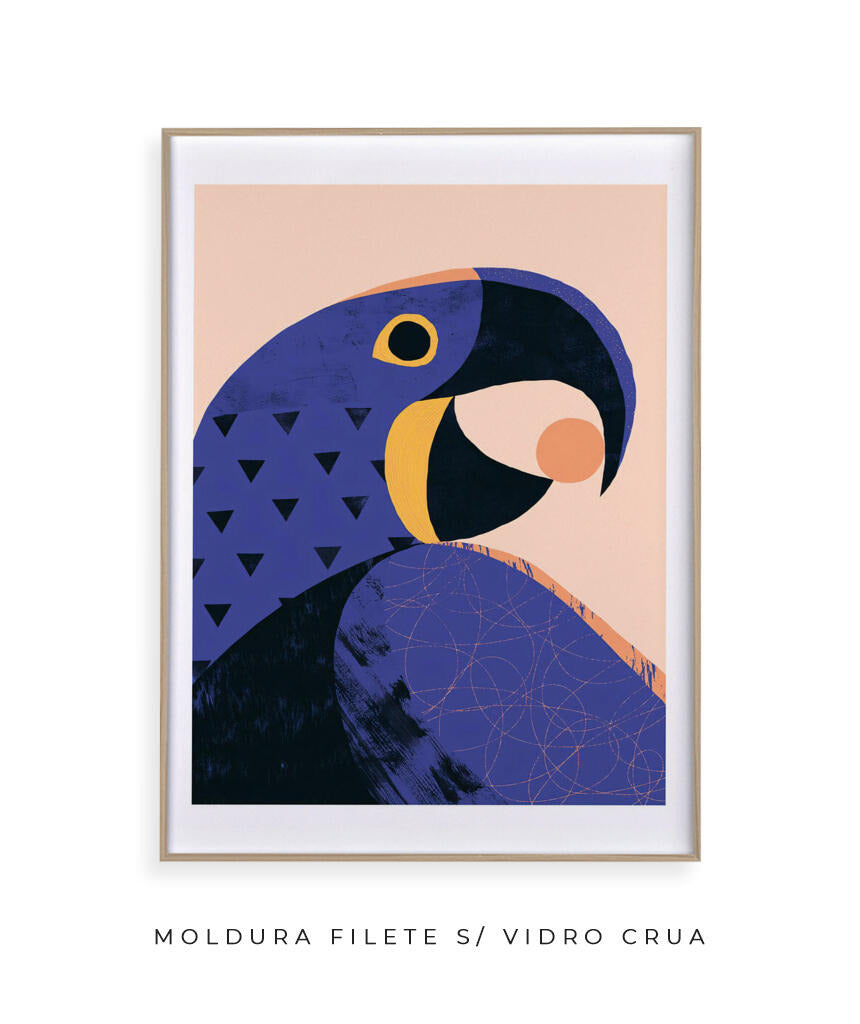 Arara Azul