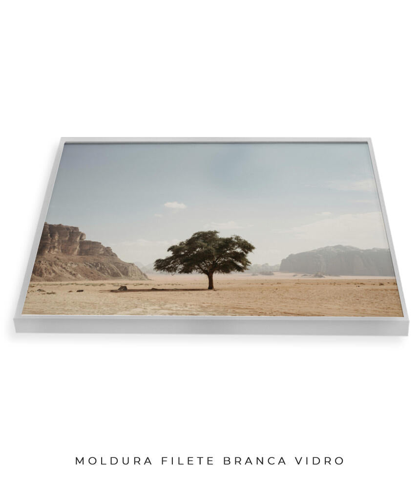 Vida solitária