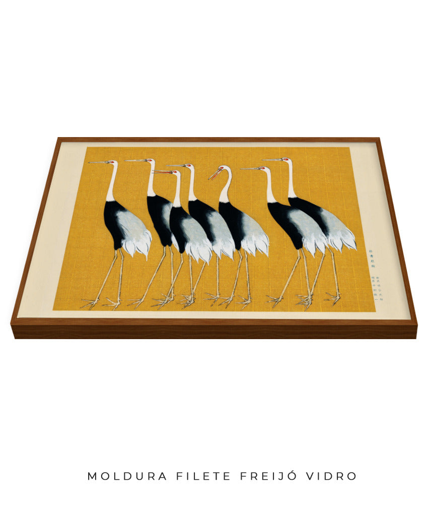 Aves II