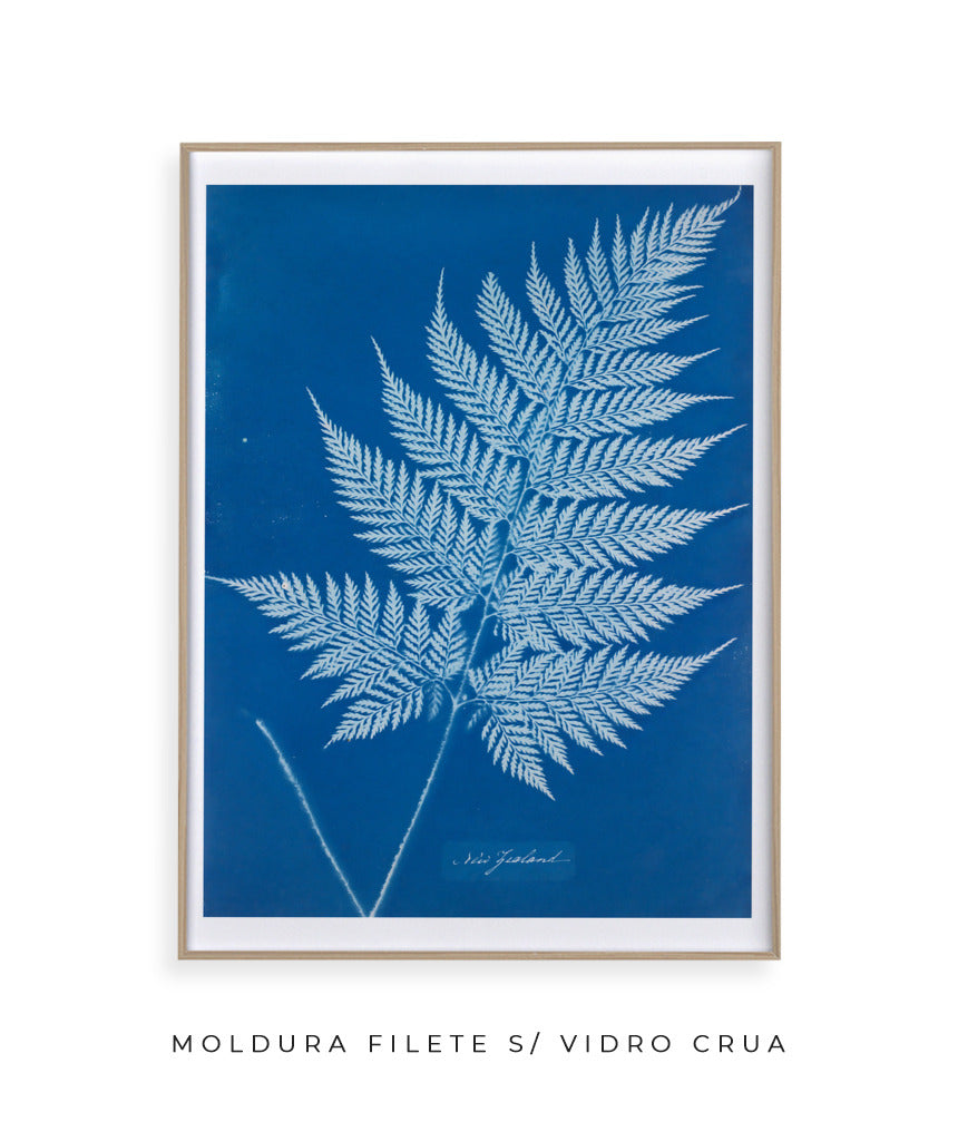 Anna Atkins II