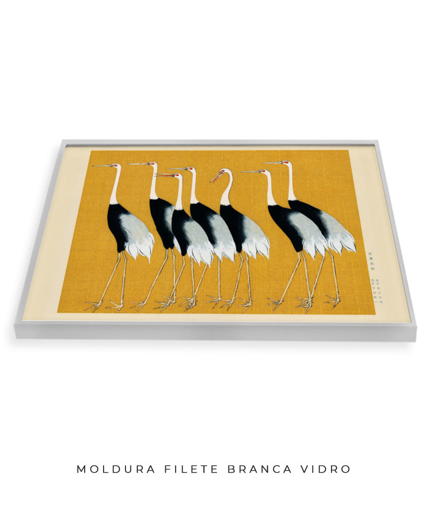 Aves II