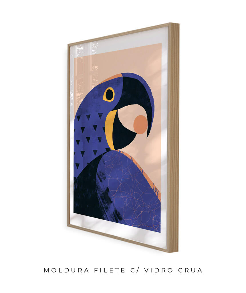 Arara Azul