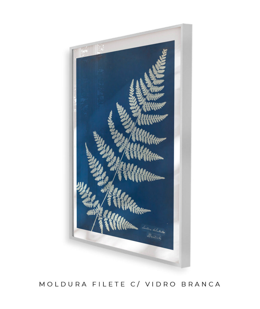 Anna Atkins IV
