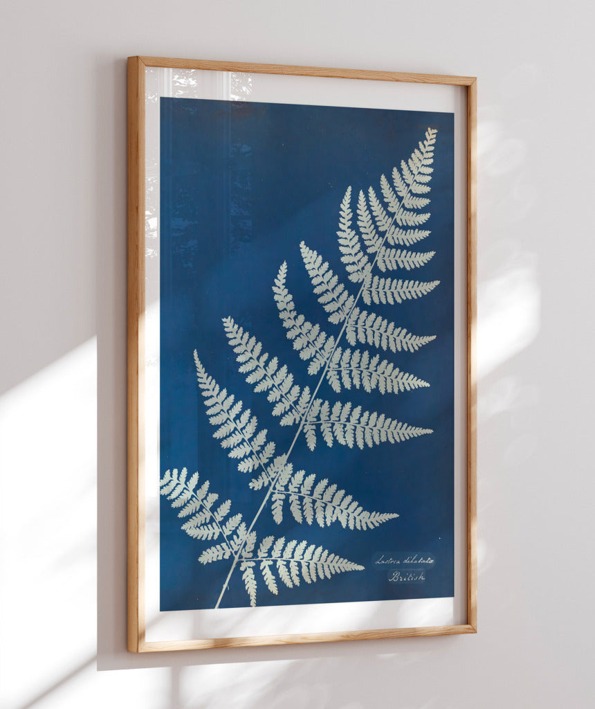 Anna Atkins IV