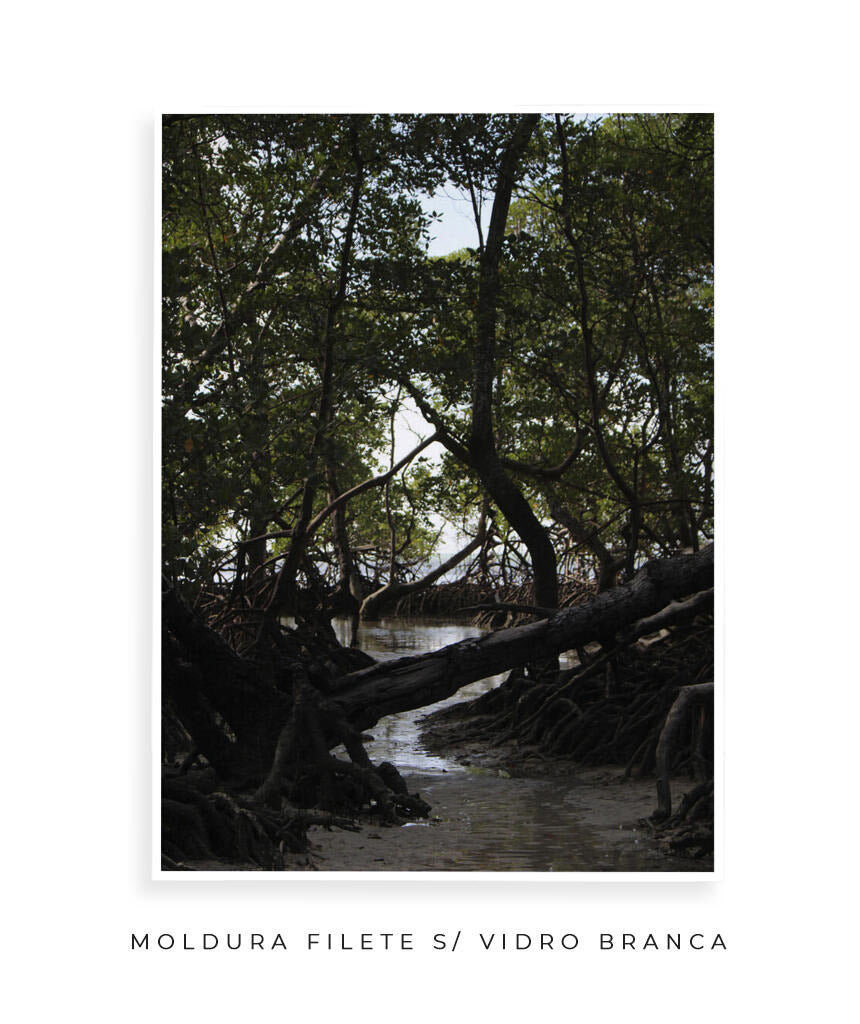 Córrego por Vitoria Brecci