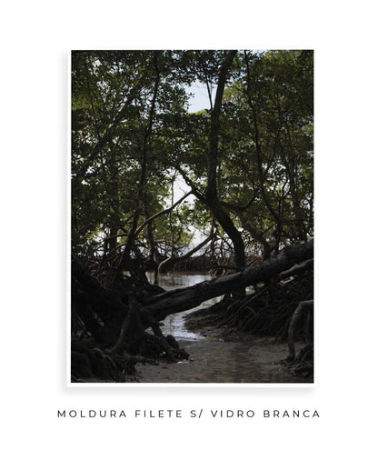 Córrego por Vitoria Brecci