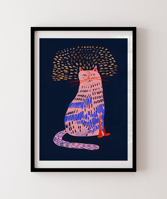 Gato no escuro
