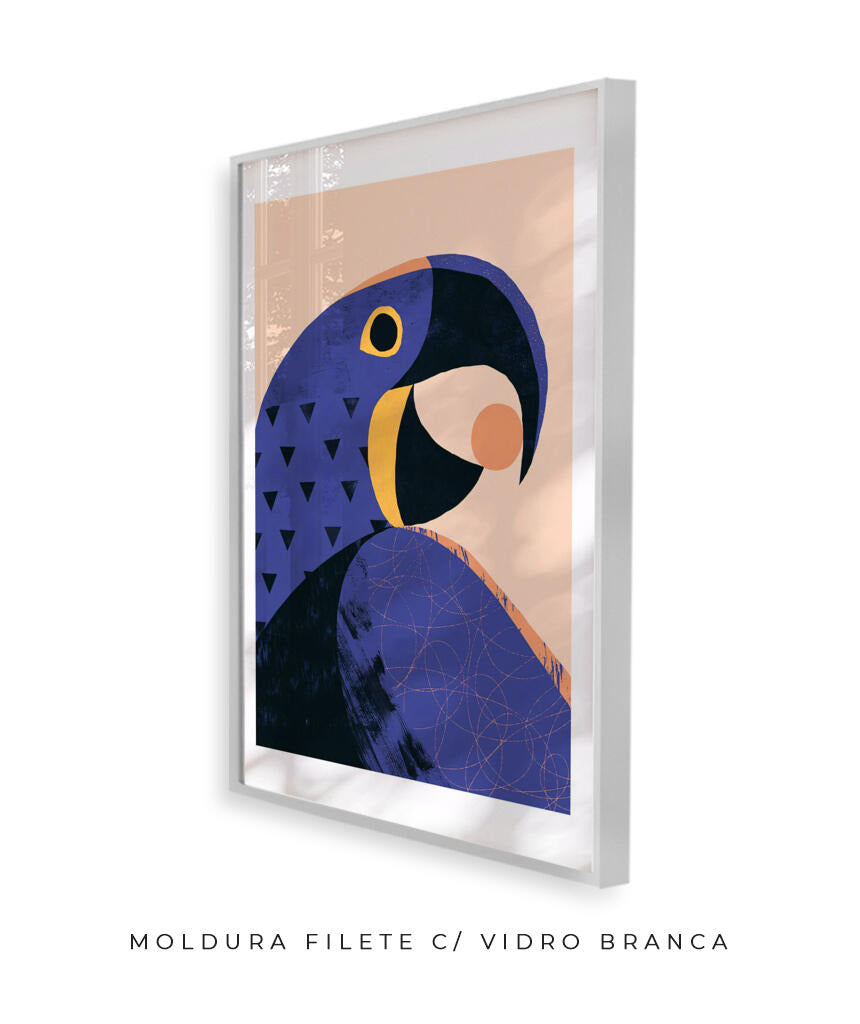Arara Azul