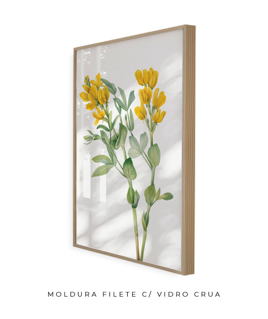 Flores Amarelas