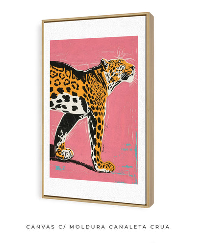 Felino II
