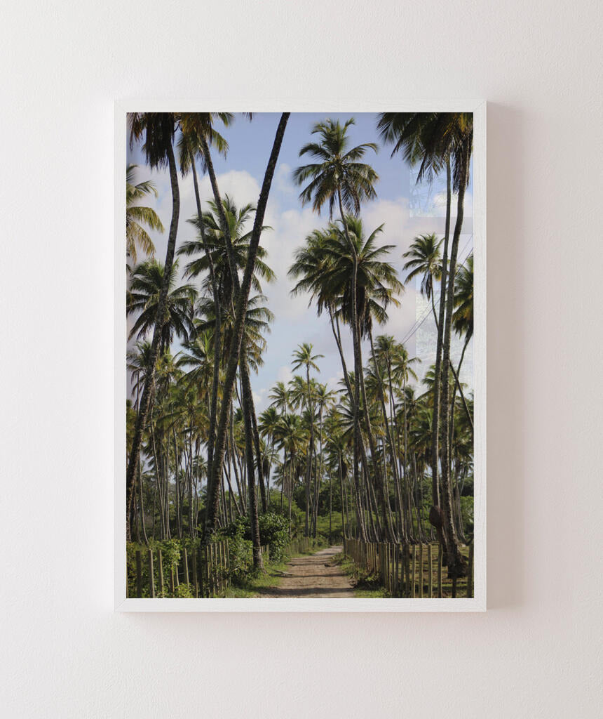 Tropicais por Vitoria Brecci