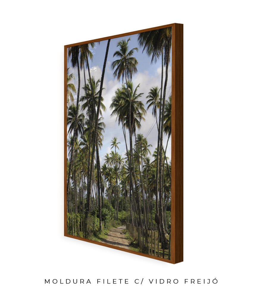 Tropicais por Vitoria Brecci