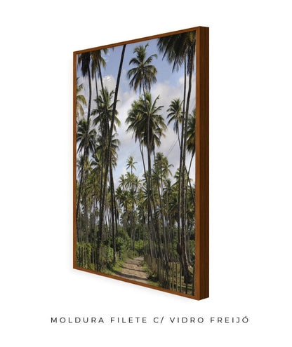 Tropicais por Vitoria Brecci